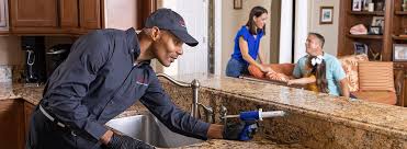 Best Residential Pest Control  in Evergreen, MT